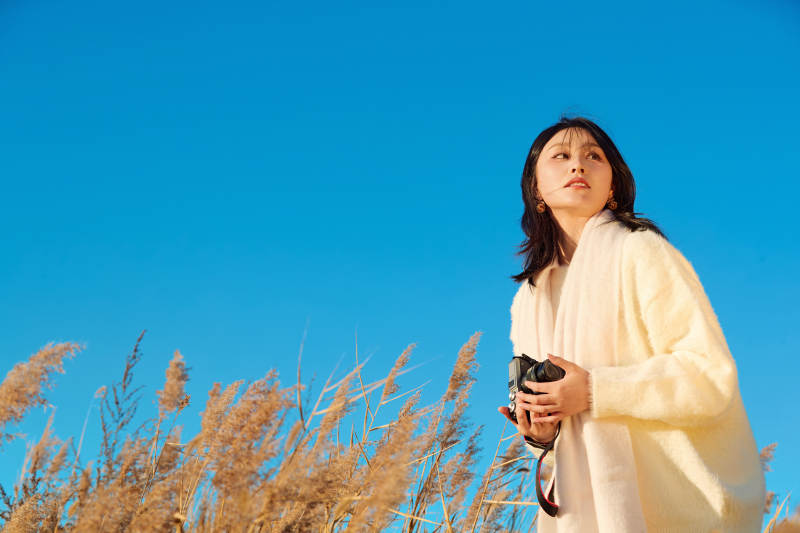 秋天晴朗的午后在芦苇荡里拍照的女性摄影师图片
