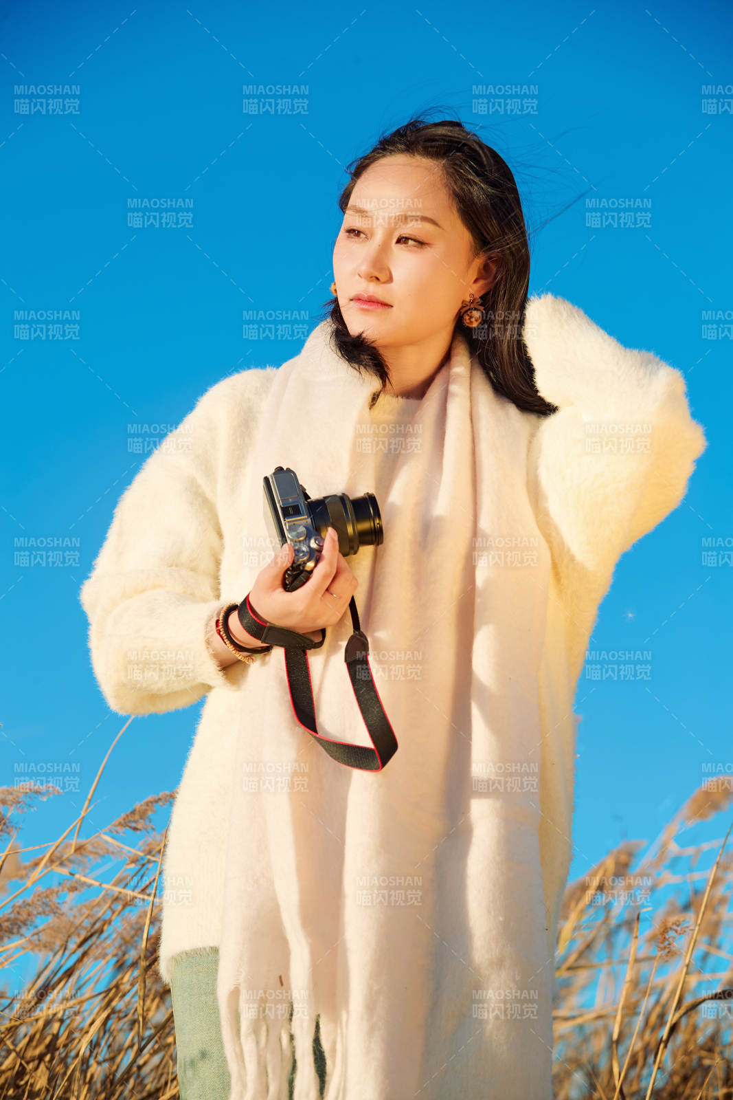 秋天晴朗的午后在芦苇荡里拍照的女性摄影师图片
