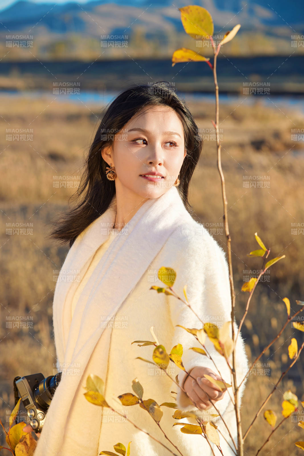 秋天晴朗的午后在芦苇荡里拍照的女性摄影师图片