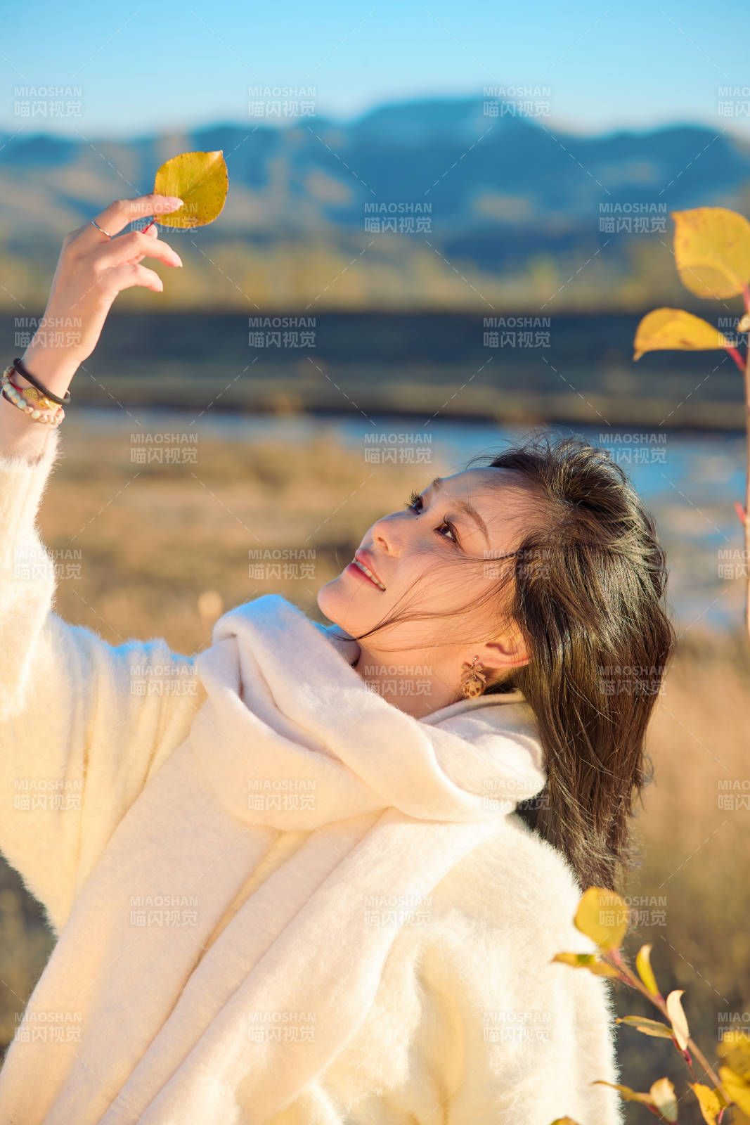 秋天午后在金灿灿的芦苇荡里的亚洲美女图片