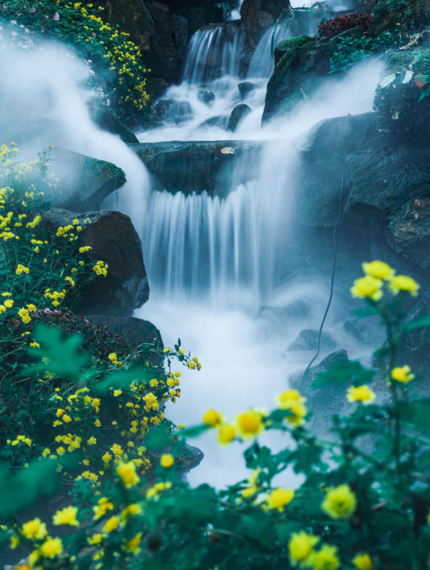 雾中花瀑图片