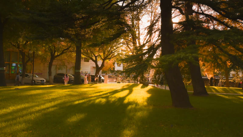 秋日公园光影图片