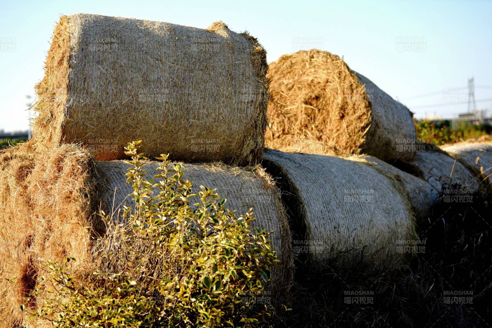 田间草垛静谧景图片