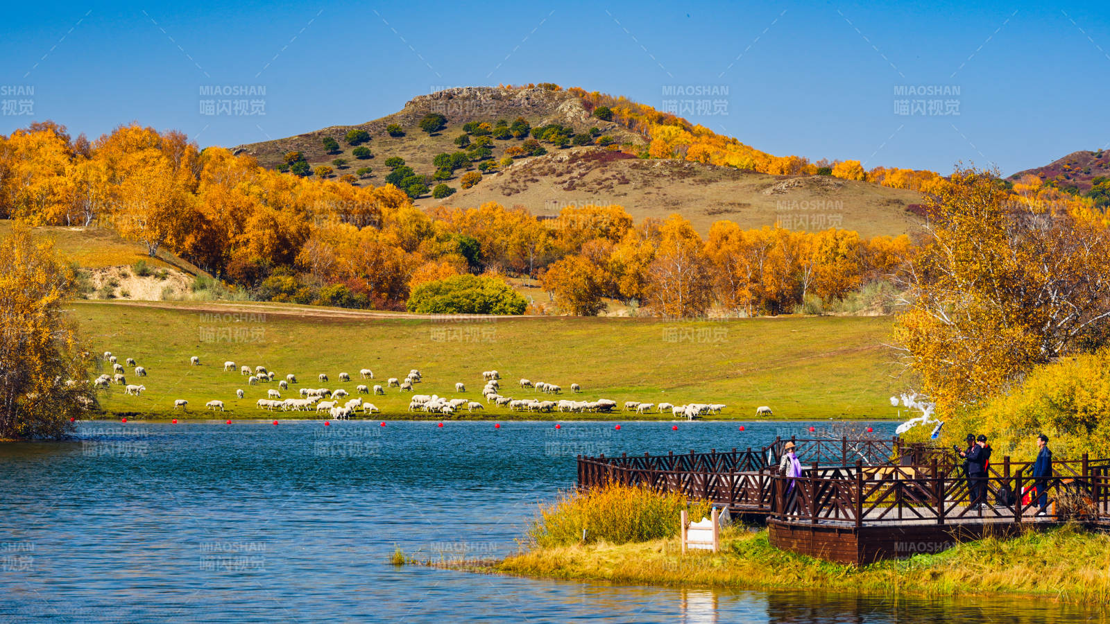乌兰布统公主湖牧羊图图片