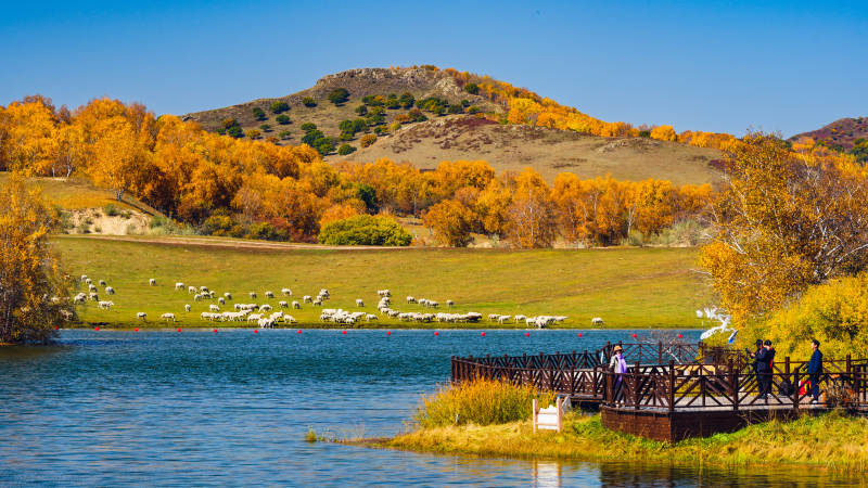 乌兰布统公主湖牧羊图图片
