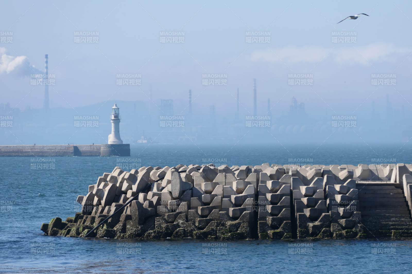 大连的海港灯塔与防波堤图片