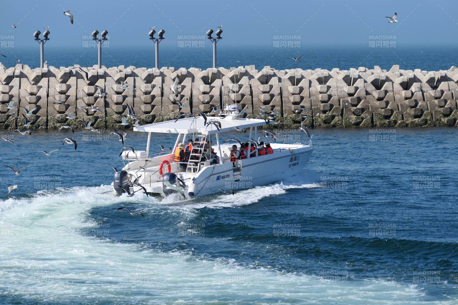 快艇疾驰海面图片