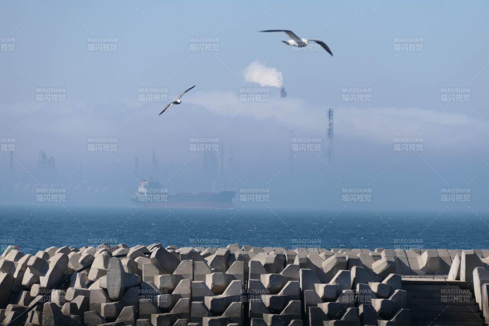 海鸥翱翔港口上空，远处雾蒙蒙的工业区图片