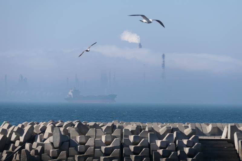 海鸥翱翔港口上空，远处雾蒙蒙的工业区图片