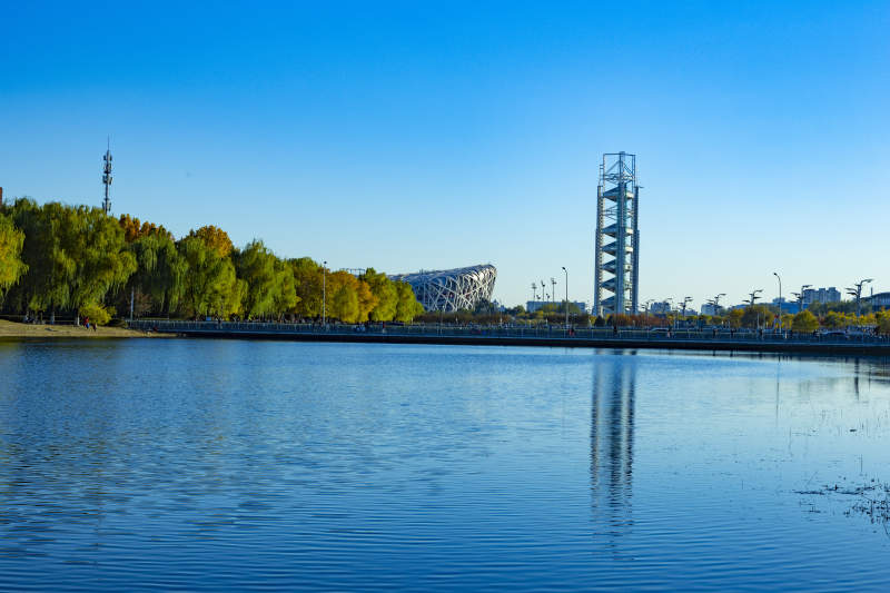 湖畔秋景映塔影鸟巢图片