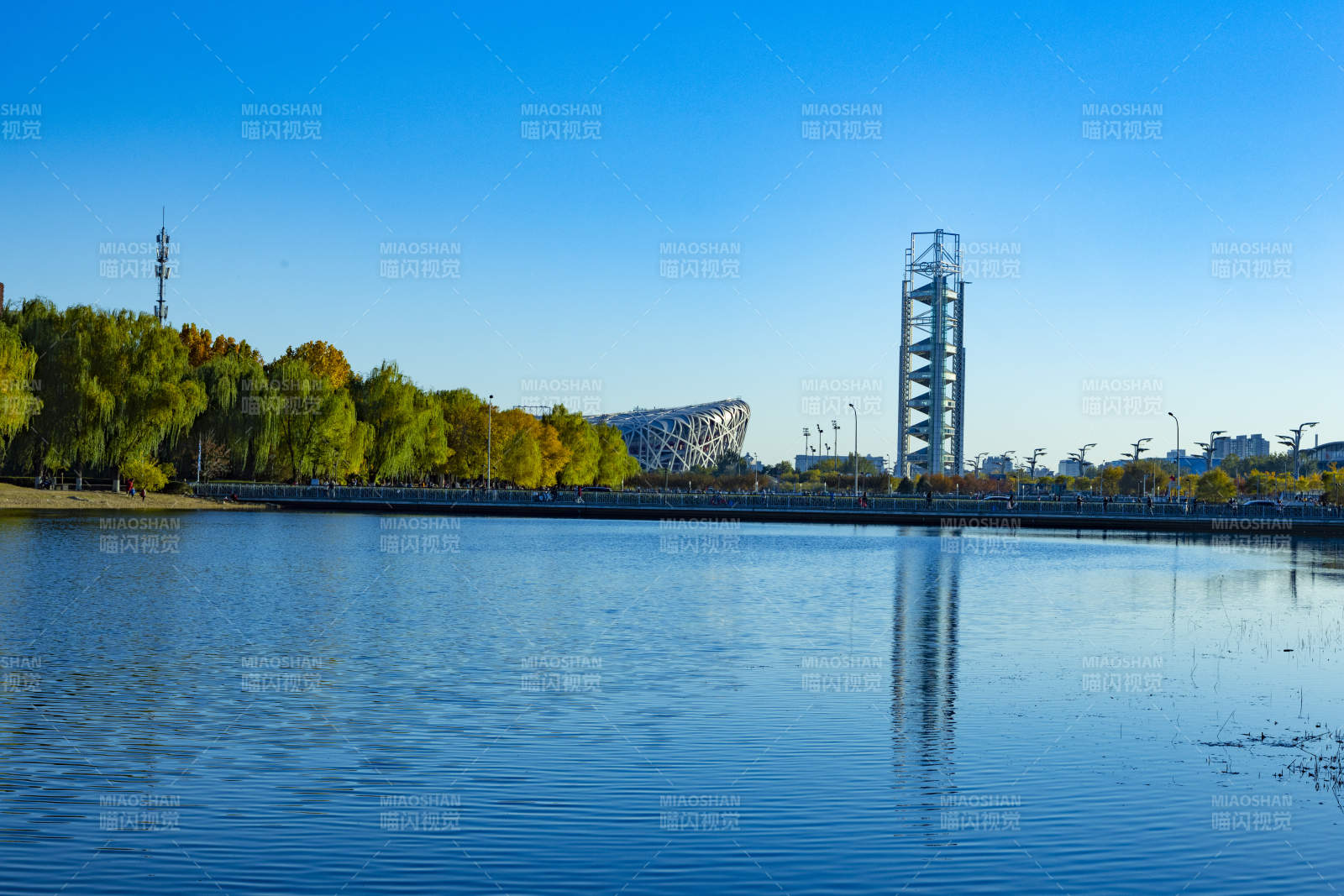 湖畔秋景映塔影鸟巢图片