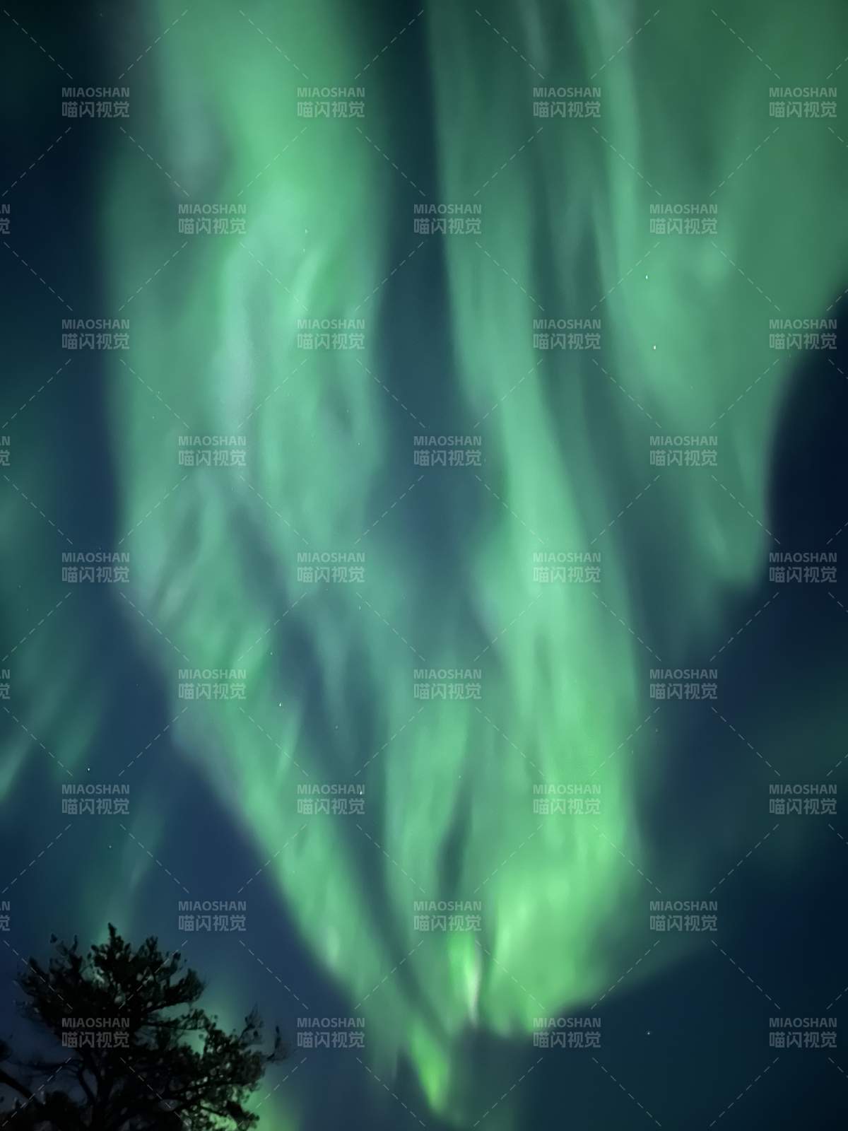 极光舞动夜空图片