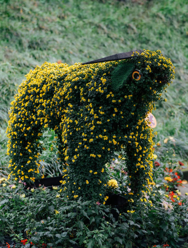 花艺虎形雕塑图片