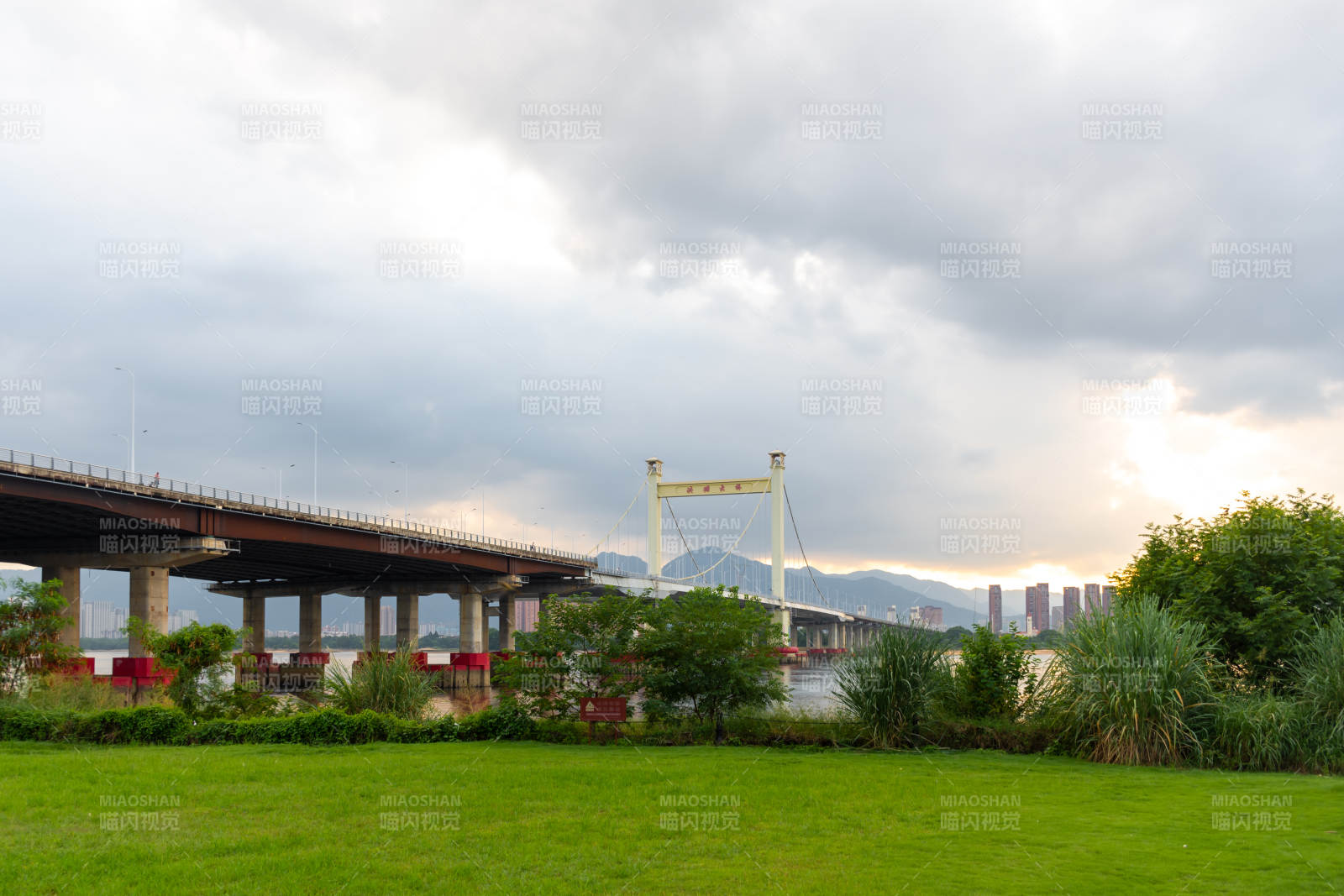 洪塘大桥桥畔绿茵云影图片