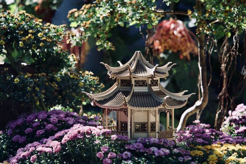 福州西湖花丛中的亭子图片