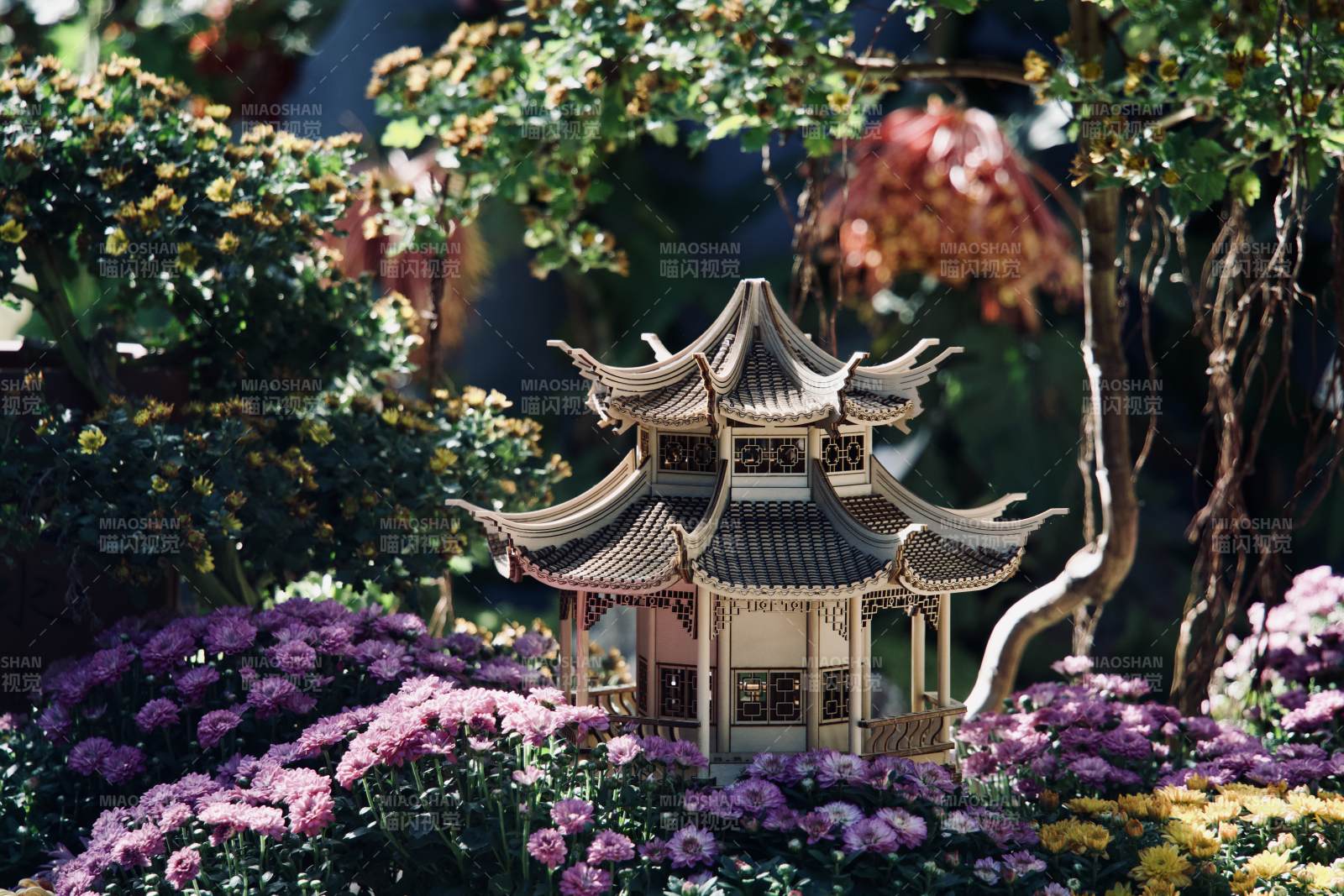 福州西湖花丛中的亭子图片