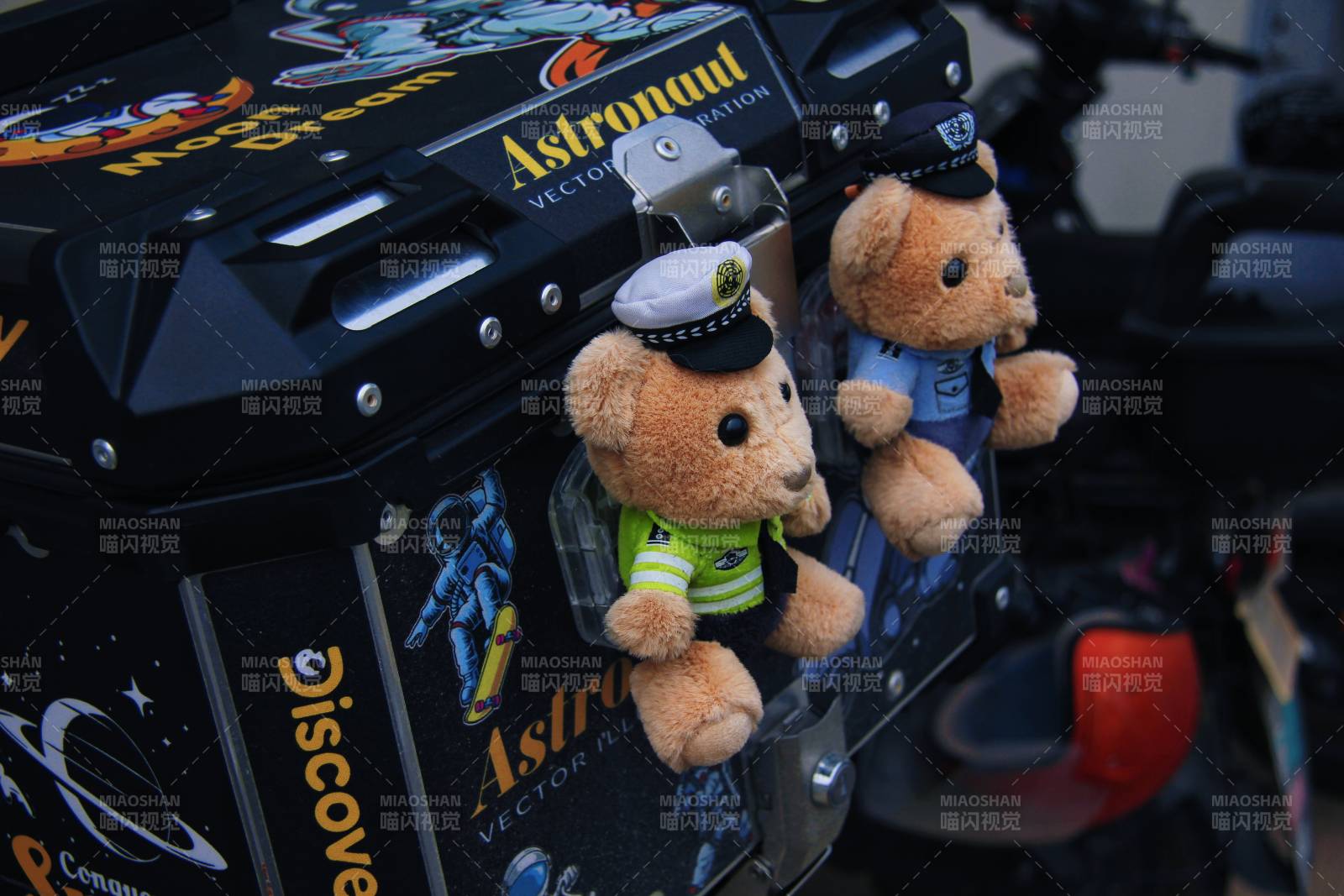 太空熊伴航图片