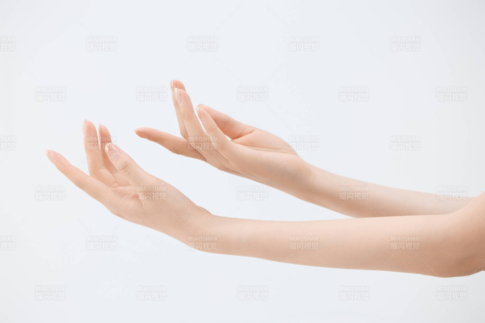 白色背景下纤细柔美的女性手部特写图片