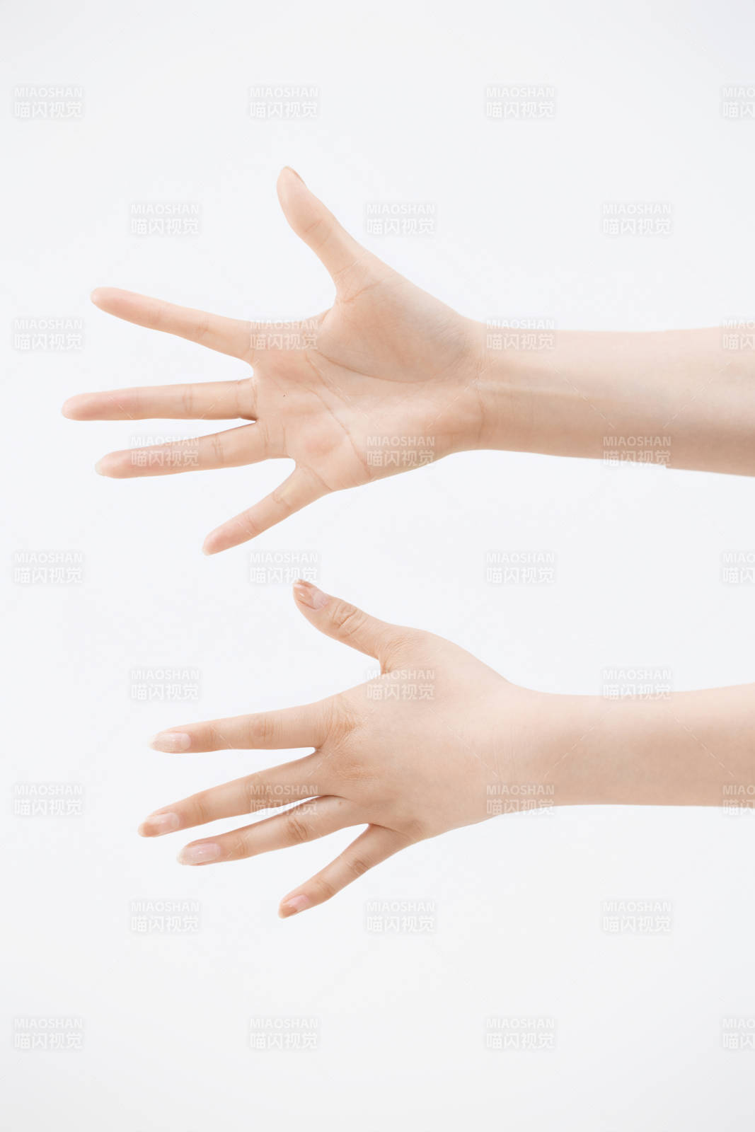 白色背景下纤细柔美的女性手部特写图片