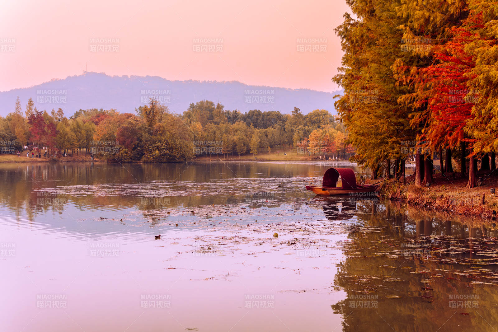秋天燕雀湖暮色静谧图片