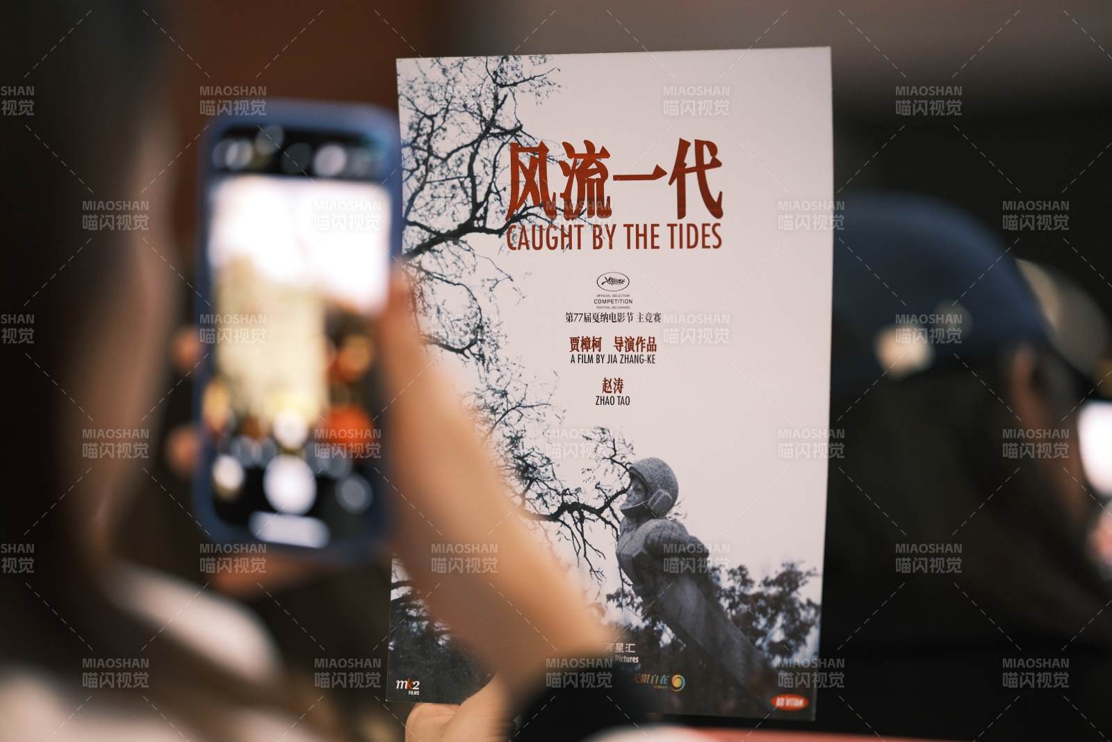 风流一代海报展示图片