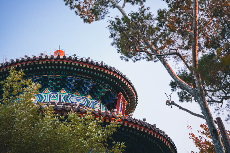 古塔蓝天秋景图片