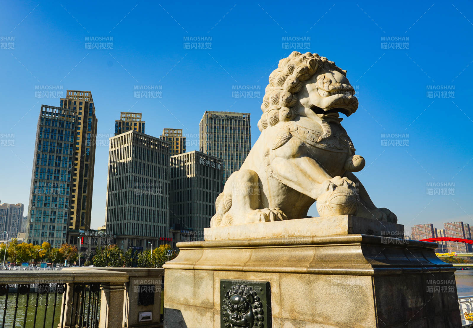 天津狮子桥石狮守桥 城市天际线图片