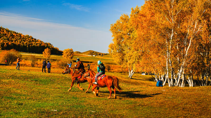 乌兰布统秋日骑马赏景图片