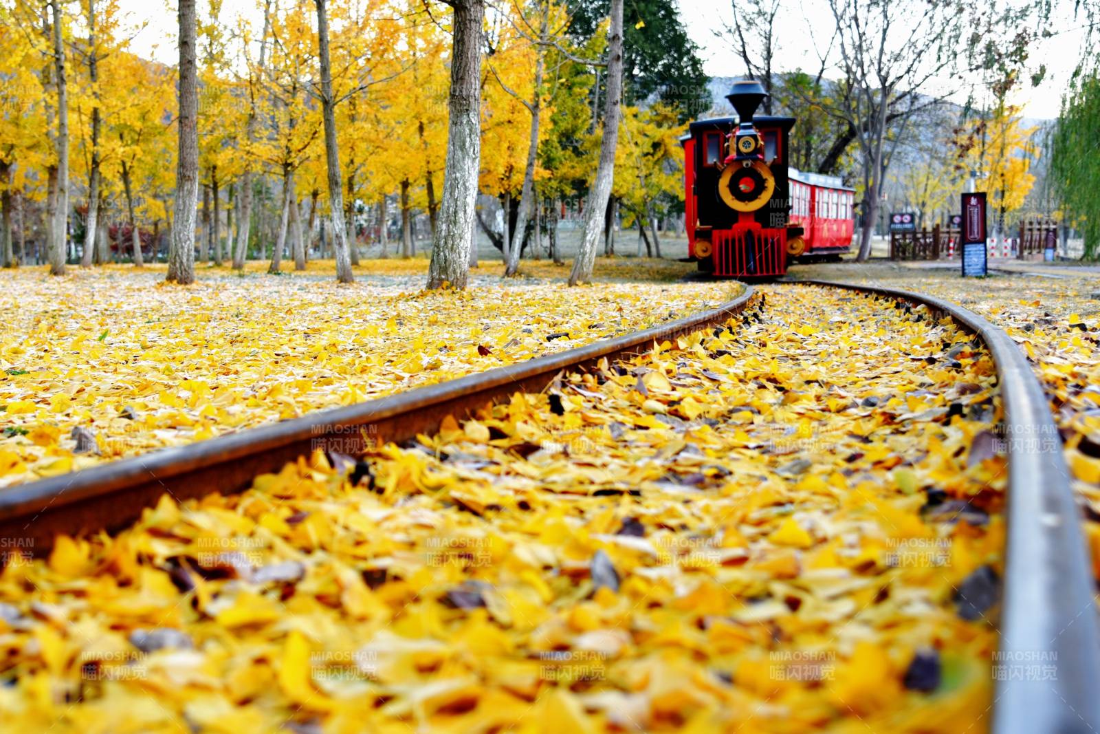 秋叶中的小火车图片