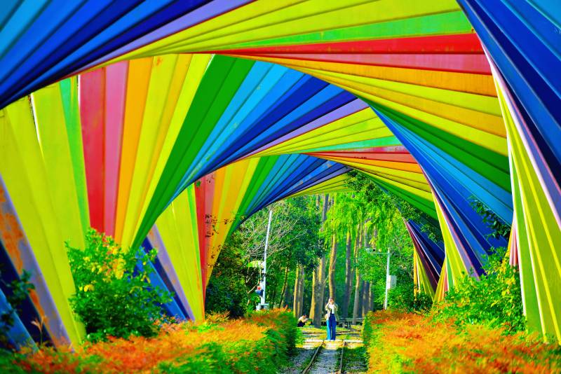 彩虹隧道滨湖国家森林公园图片