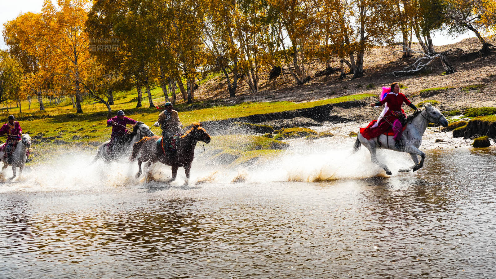 乌兰布统策马奔腾水花飞图片