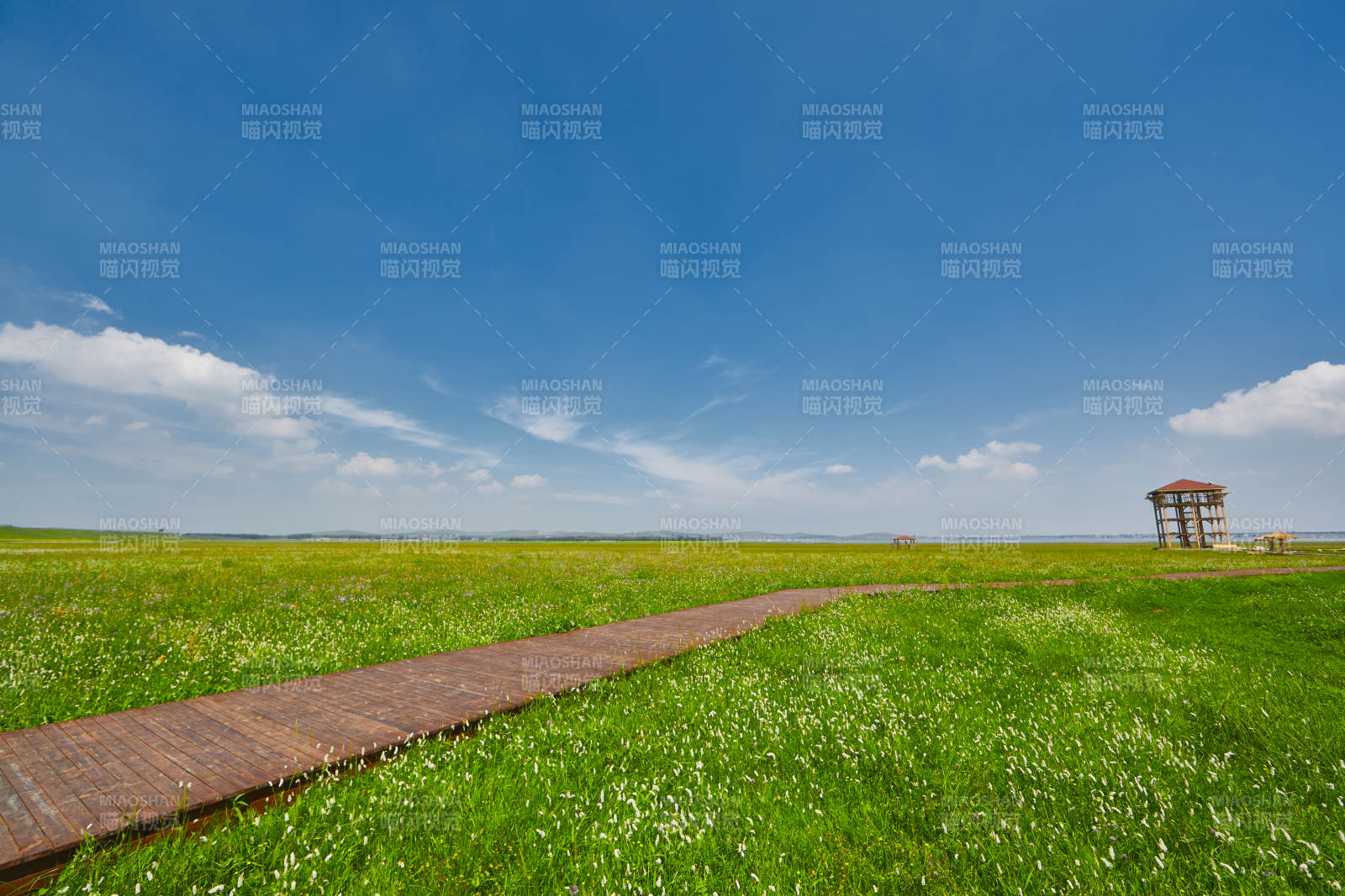 中国河北省张家口沽源县天鹅湖景区湿地花海图片