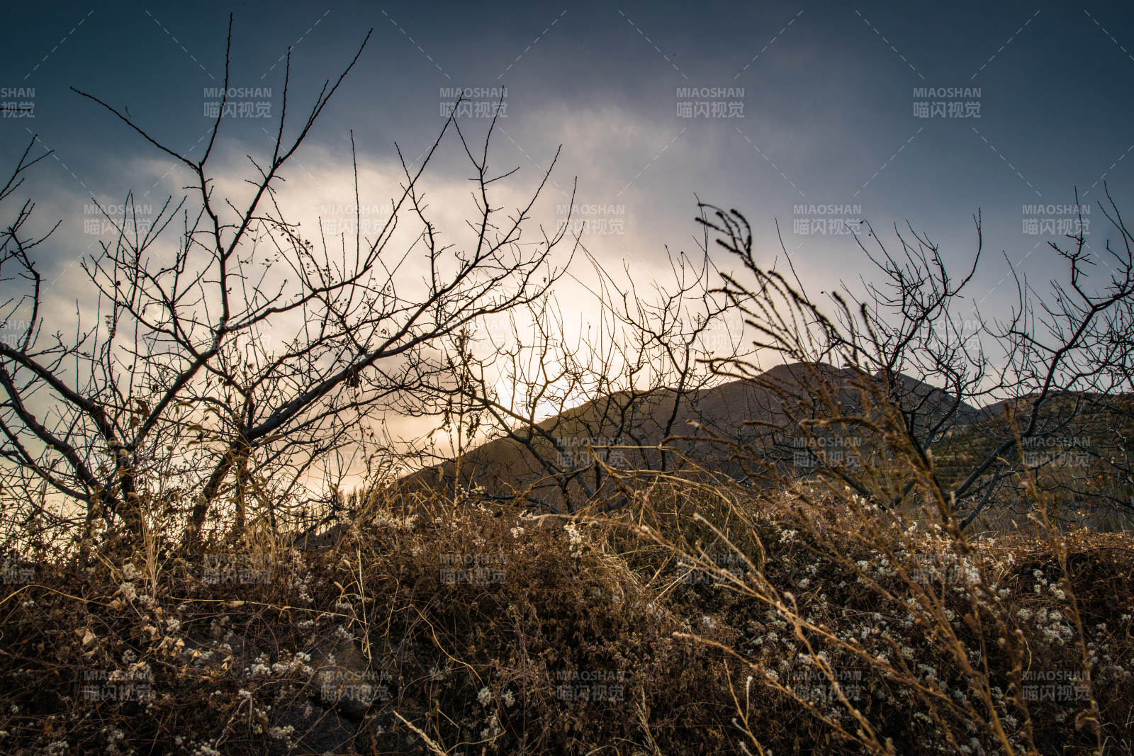 河北省张家口崇礼县深秋户外景色图片