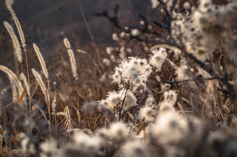 河北省张家口崇礼县深秋户外景色图片