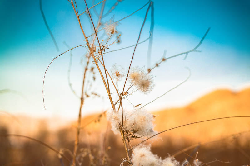 河北省张家口崇礼县深秋户外景色图片