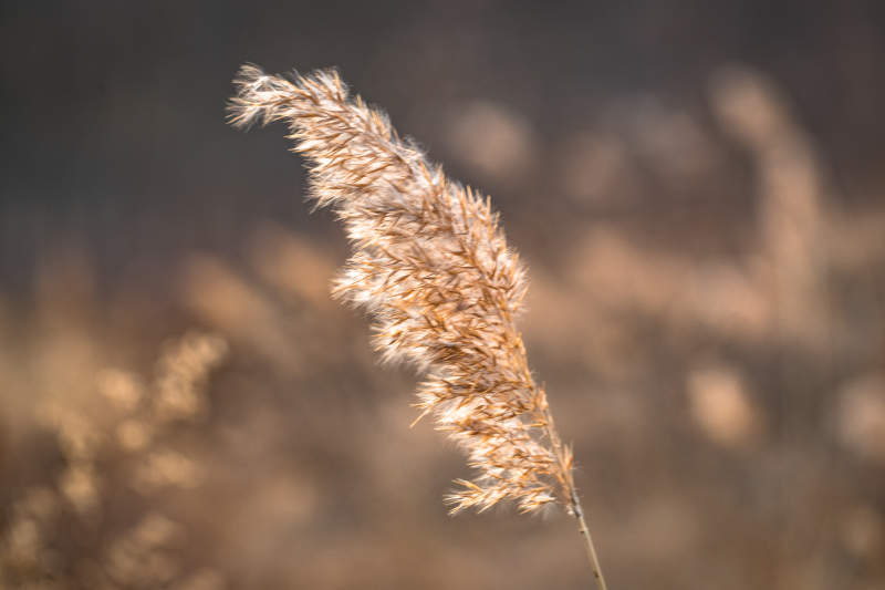 河北省张家口崇礼县深秋户外景色图片