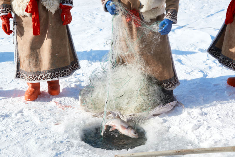 寒冷的冬季在冰冻的湖面上凿冰捕鱼图片