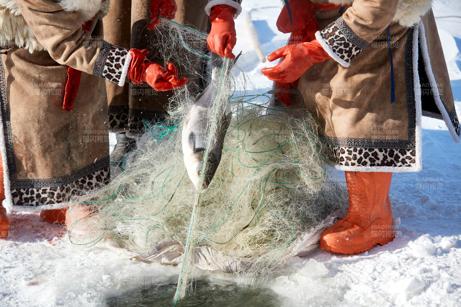 寒冷的冬季在冰冻的湖面上凿冰捕鱼图片