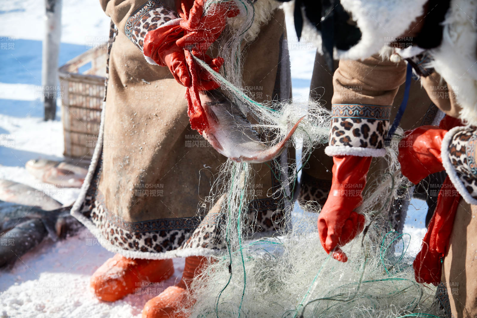 寒冷的冬季在冰冻的湖面上凿冰捕鱼图片