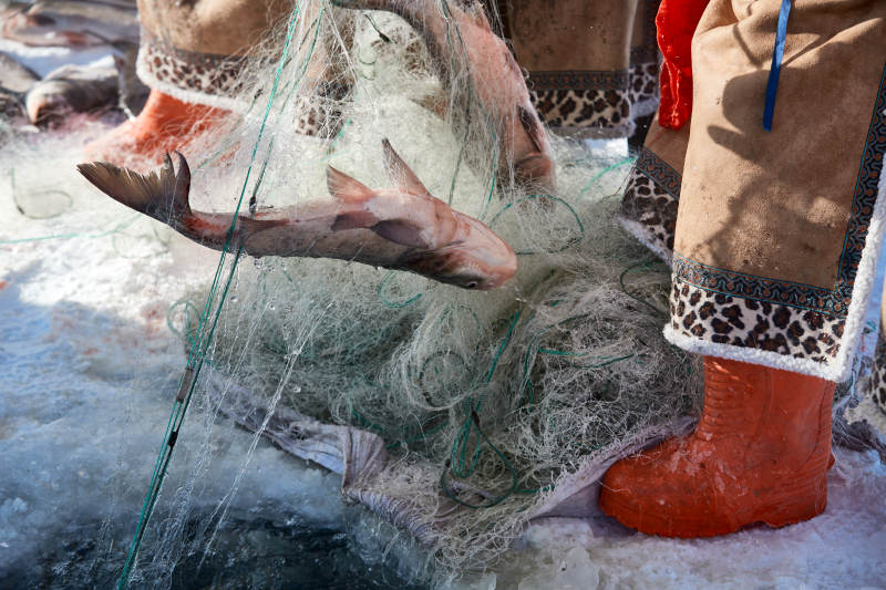 寒冷的冬季在冰冻的湖面上凿冰捕鱼图片