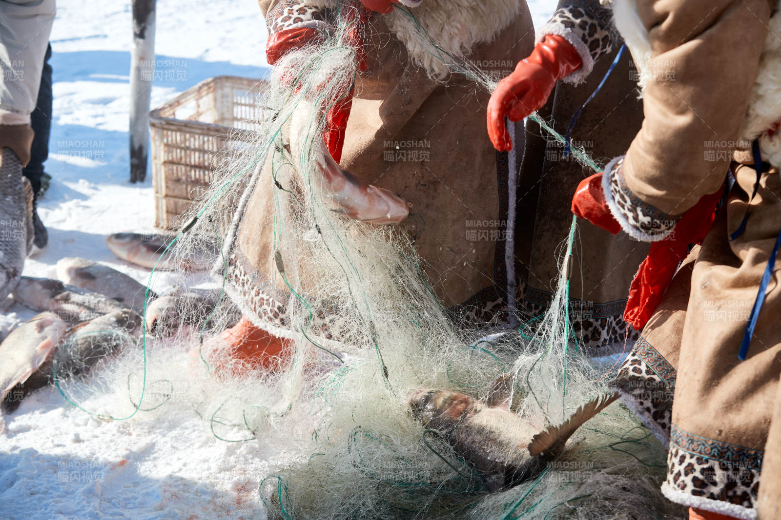 寒冷的冬季在冰冻的湖面上凿冰捕鱼图片