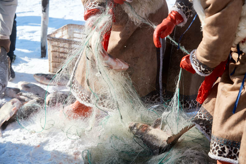 寒冷的冬季在冰冻的湖面上凿冰捕鱼图片