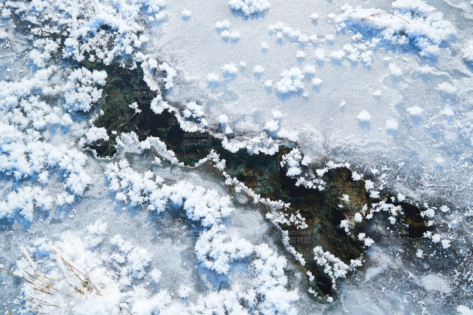 冬天野外溪水冻结冰层上的冰凌花冰松结晶图片