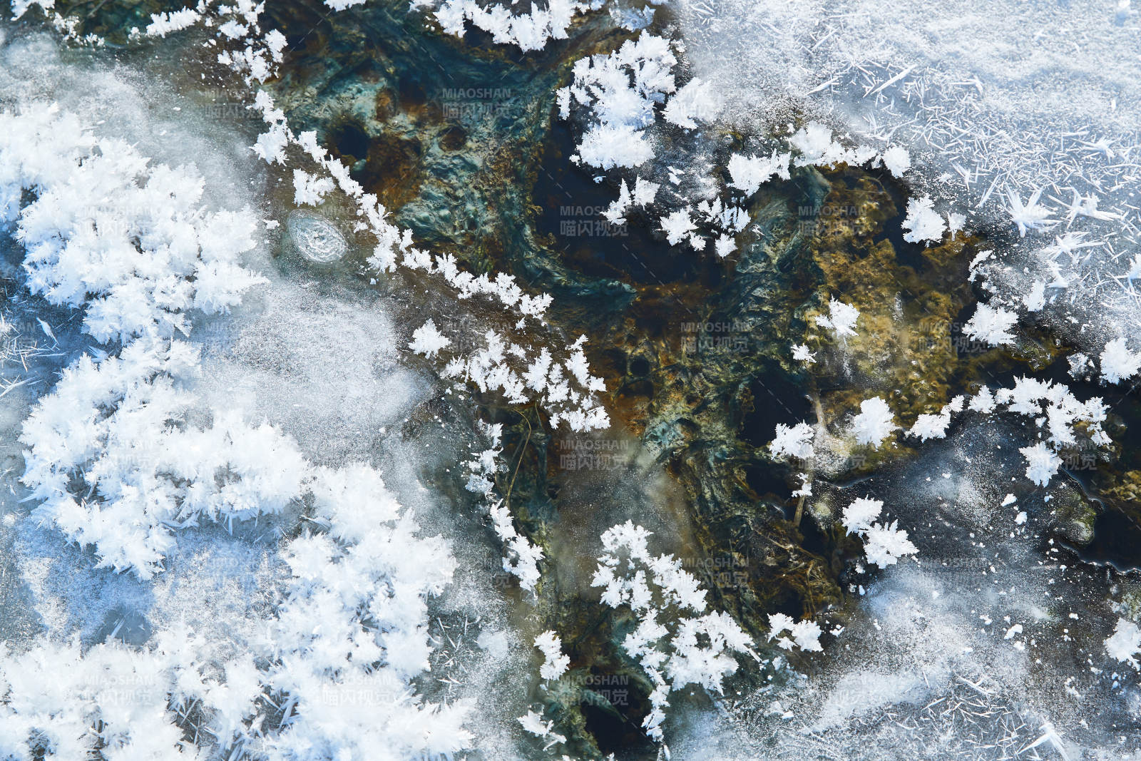 冬天野外溪水冻结冰层上的冰凌花冰松结晶图片