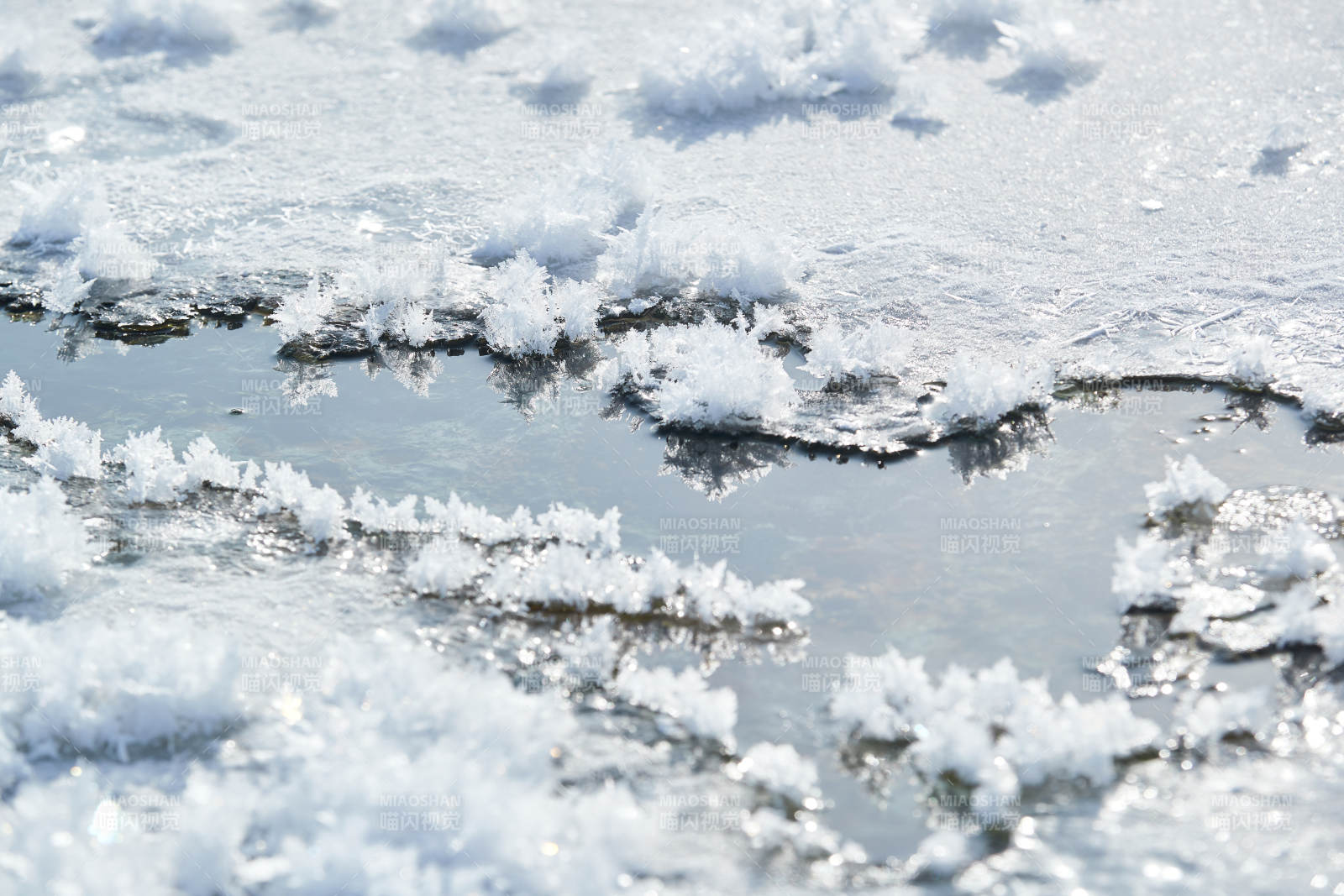 冬天野外溪水冻结冰层上的冰凌花冰松结晶图片