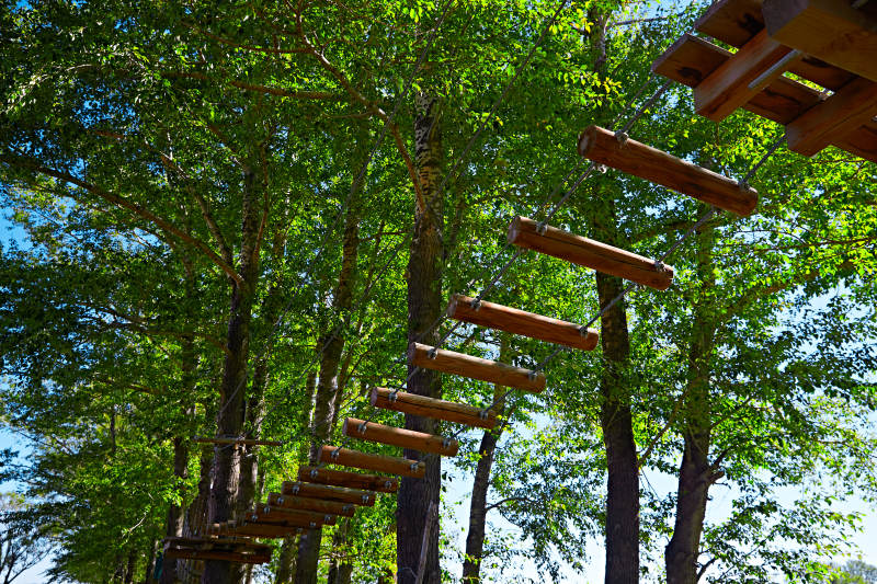 丛林穿越探险娱乐项目的木质设施图片