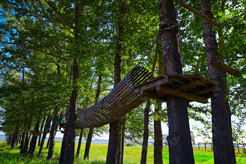 丛林穿越探险娱乐项目的木质设施图片