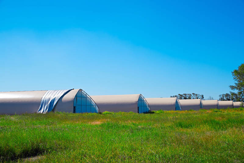 中国河北省张家口沽源县库伦淖湖畔湿地图片