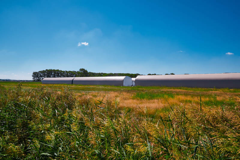 中国河北省张家口沽源县库伦淖湖畔湿地图片