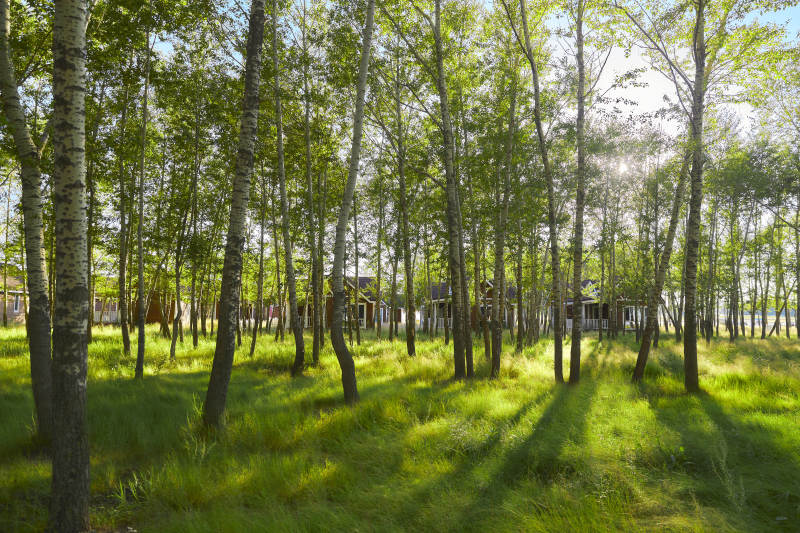 河北沽源库伦淖而旅游度假村别墅区森林草地图片